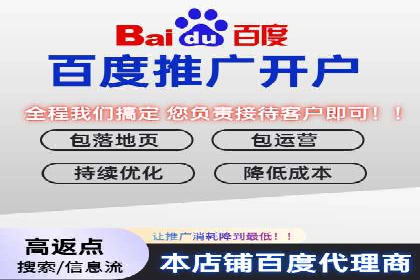 实战技巧：竞价推广案例解析与效果评估